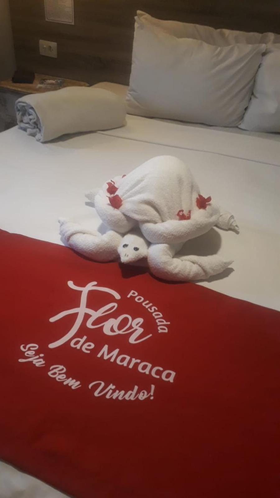 Pousada Flor De Maraca Pôrto das Galinhas Exteriér fotografie